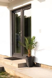 Casa Andrei Guesthouse