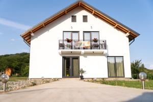 Casa Andrei Guesthouse