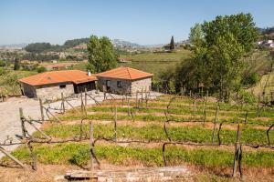 Charming House Fornos + Pool