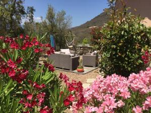 Maison accueillante avec jardin et vue sur montagne à Porto-Vecchio