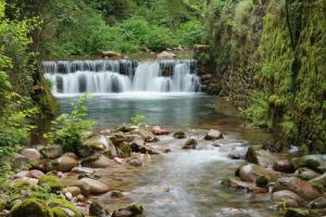 Luxurious Villa in Vieira do Minho – Private Pool