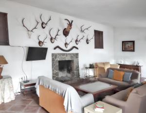 Luxury Villa in Málaga - Private Pool
