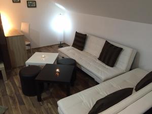 Charming Apartment in Rakovica with Shared Pool
