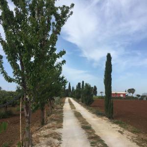 Picturesque Villa in Sciacca with Sea View and Garden