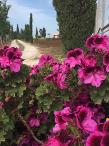 Picturesque Villa in Sciacca with Sea View and Garden