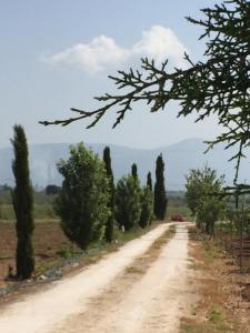 Picturesque Villa in Sciacca with Sea View and Garden