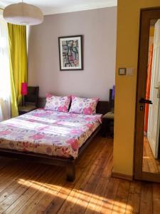 Spacious House in Central Sofia with Garden
