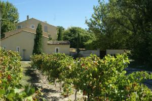 Maisons d'hotes Cote Provence : photos des chambres