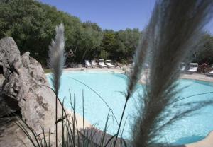 Modern Villa in Olbia with Shared Pool - 45 sqm
