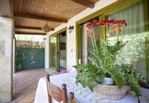 Modern Villa in Olbia with Shared Pool - 45 sqm