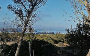 Cosy Apartment in Sagres, 42 sqm with Garden View