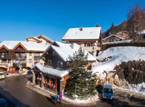 Studio accueillant à Les Carroz, 27 m², vue montagne