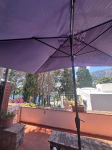 Appartamento Capri Green
