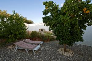 Masseria Il Mandorlo Fiorito con piscina