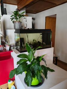 Grosses Doppelzimmer in Privathaus