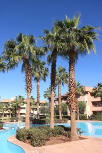 Prestigia Corail, new, 2 bedrooms, pool, wifi