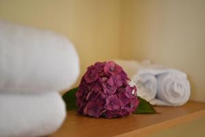 Spacious apartment with pool in Prazeres - 150m²