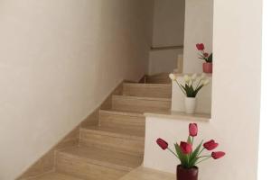 Charming apartment in Alcamo 45m² + Balcony