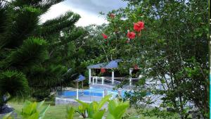 Appartement spacieux à Lamentin + piscine et jacuzzi.
