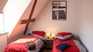 Appartement cosy avec cheminée à Eguisheim - 110m² - Terrasse