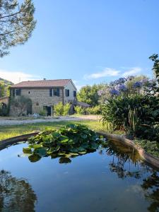 Giardino Antico