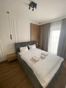 Apartamente Arad Premium
