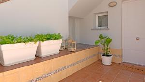 Apartamento Cedro