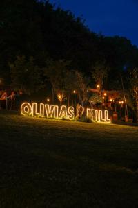 Padel Olivias Hill Resort