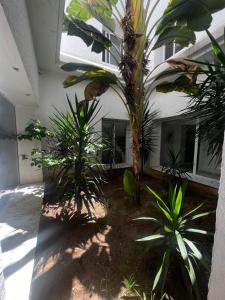 Villa de jasmine hammamet