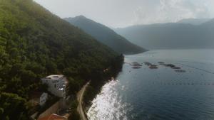 StOliva RESIDENCES Bay pearl