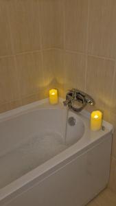 Su Inn apartman - Center with FREE private garage