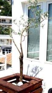 Villa Guci