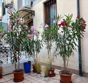 Casa Giardini