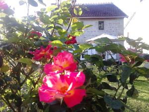 Maisons de vacances Les Roses Tremieres : photos des chambres