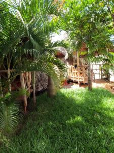 Moshi hostel lodge