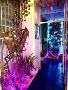 HOSTEL Pepper-Gold -STEP-FREE ENTRANCE -car- free Space-no nois-3 minutes from Port -BED ROOMS 8 GUEST 55 M2 AND 8 GUEST 65 M2