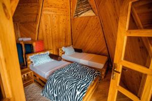 Moshi hostel lodge