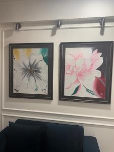 Hana by Irasshai - Service Appt, Sec 143 Noida