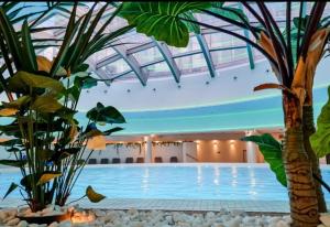 Hanza Tower WHITE 24 SPA & Sauna & Jacuzzi & Pool