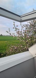 Uitrusten in de natuur bij Zutphen