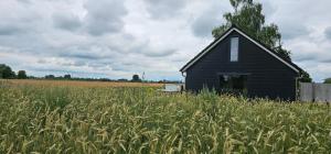 Uitrusten in de natuur bij Zutphen