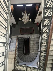 Gli Olmi