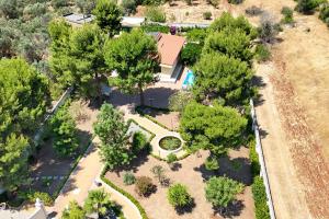 Villa Armonia Cordis - Happy Rentals
