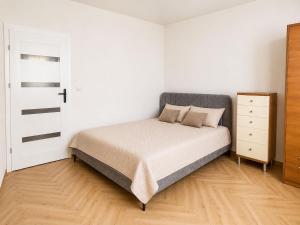 Neko APT - apartment 2 minutes from the market square