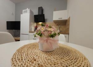 Apartments Novosel