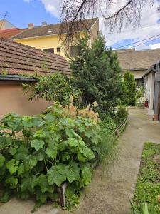 ETALON in the heart of Novi Sad