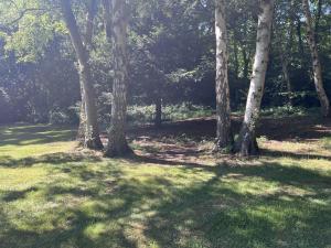 Bois des Communes