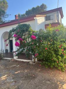 Chalet con piscina en Carmona
