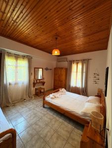 Zirganos Horton Pelion Apartment 2