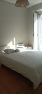 Apartamento centro de Lisboa